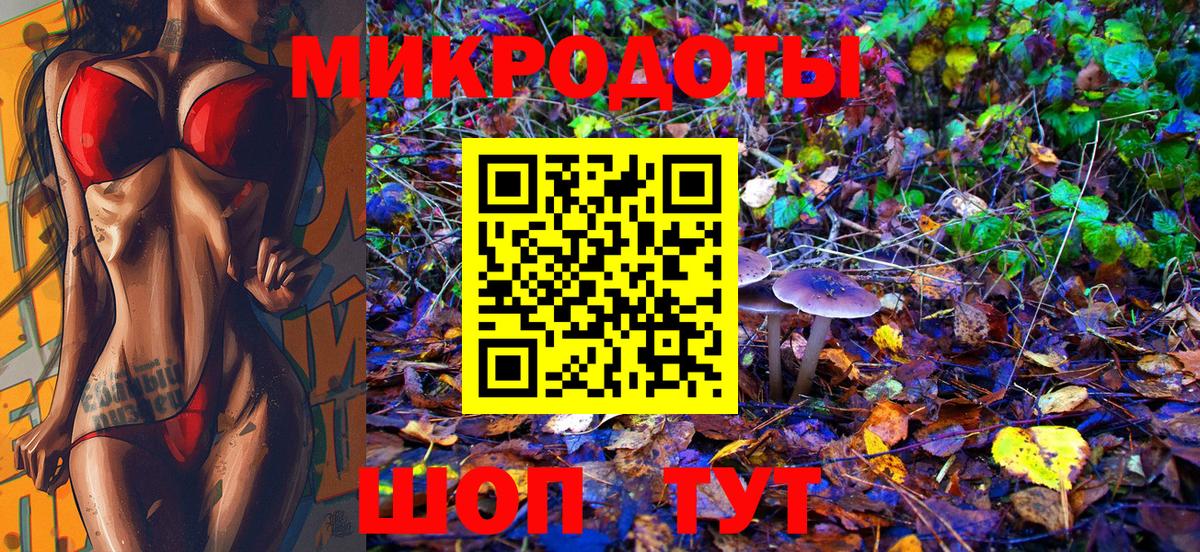 Псилоцибиновые грибы Psilocybe Славгород