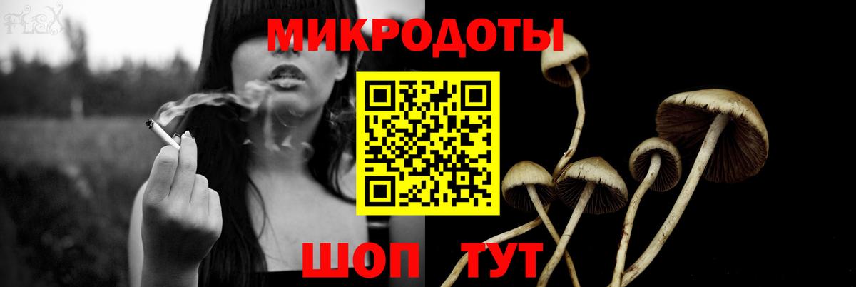 Славгород  Псилоцибиновые грибы MAGIC MUSHROOMS  Вход с VPN 